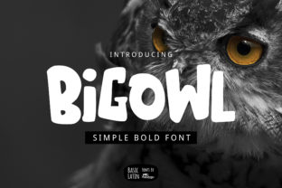 Big Owl Display Font Review for Makers