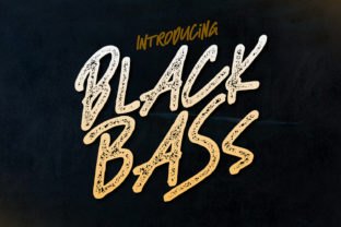 Black Bass Typeface for Editorial Design and Brand Identity