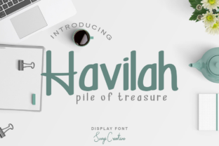 Havilah Display Typeface for Quirky Brand Identity Projects