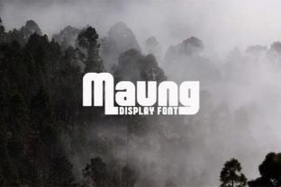 Maung Typeface Review: Bold Display Fonts for Standout Branding