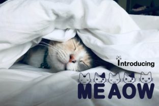Meaow Display Font: Quirky Branding for Small Businesses
