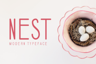Nest Display Font for Modern Web Design and Brand Identity